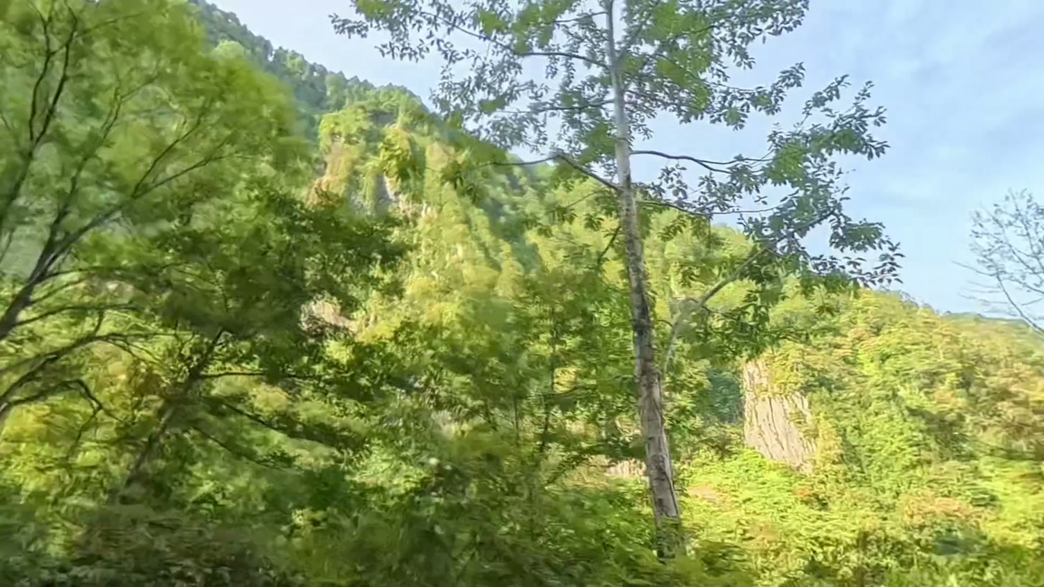 木々のあいだから見える悪城の壁の岩肌