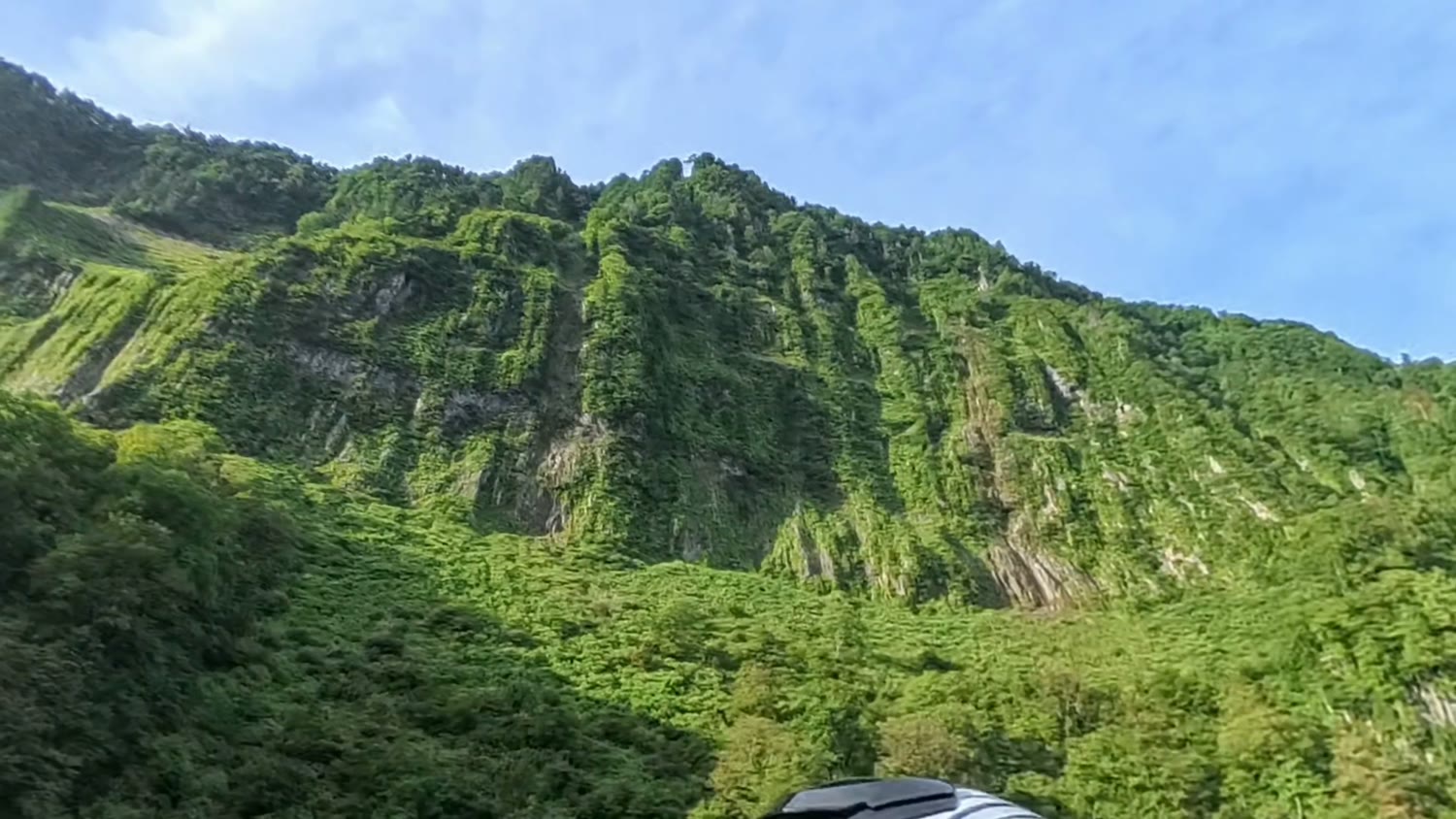 緑におおわれた高さ約500mの岩壁、悪城の壁を道路から見上げたところ